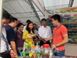 Các hội chợ hàng Việt là cơ hội đưa hàng hóa đến gần với người tiêu dùng